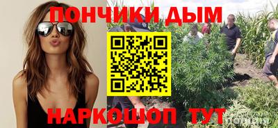 mix Сланцы