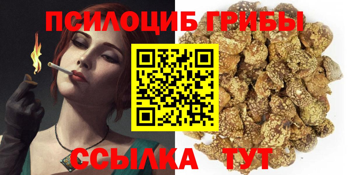Псилоцибиновые грибы GOLDEN TEACHER Похвистнево