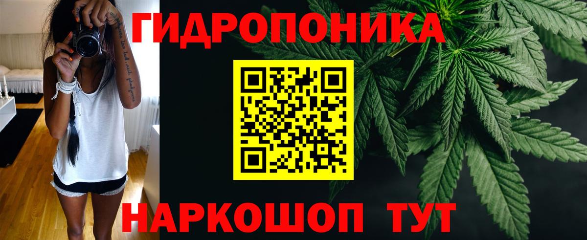 Каннабис сатива  Вход с VPN  Бошки марихуана индика  Похвистнево  Бошки марихуана VHQ  Каннабис ГИДРОПОН 
